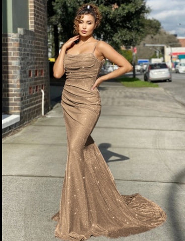 Champagne Graceful Silhouette Backless Long Dress