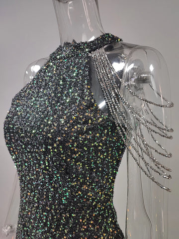 The Red Carpet Evening Dress