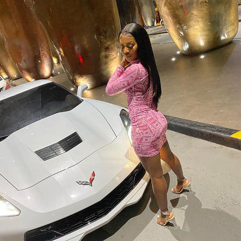 Pink Dollar Club Wear Mesh Dress