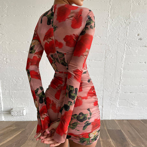 Rose Galore Mesh Dress