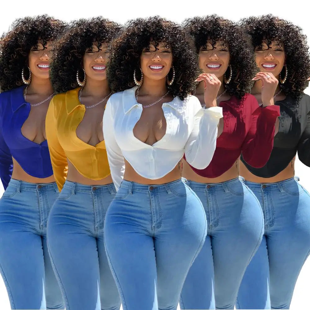 Long Sleeves Crop Top with Deep V-Neck