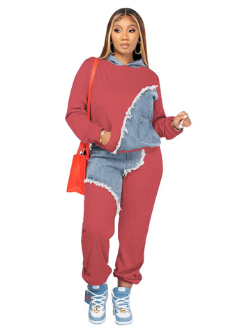 Casual Hoodies Long Sleeve Top and Pant Set