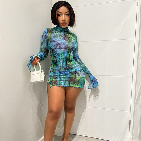 Mesh Paradise Vintage Dress